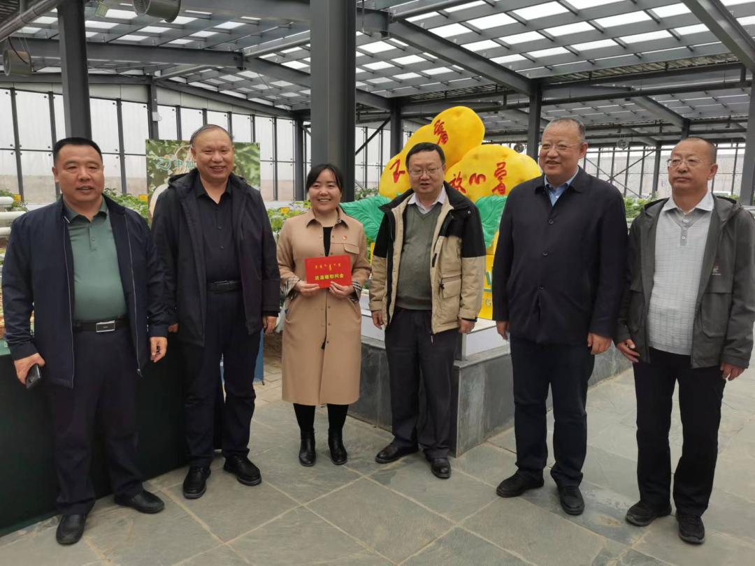 乌兰察布_2025澳门天天开好彩资料?留神自动化精选解析、解释与落实